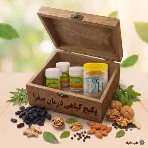 خرید پکیج اصلاح مزاج صفرا
